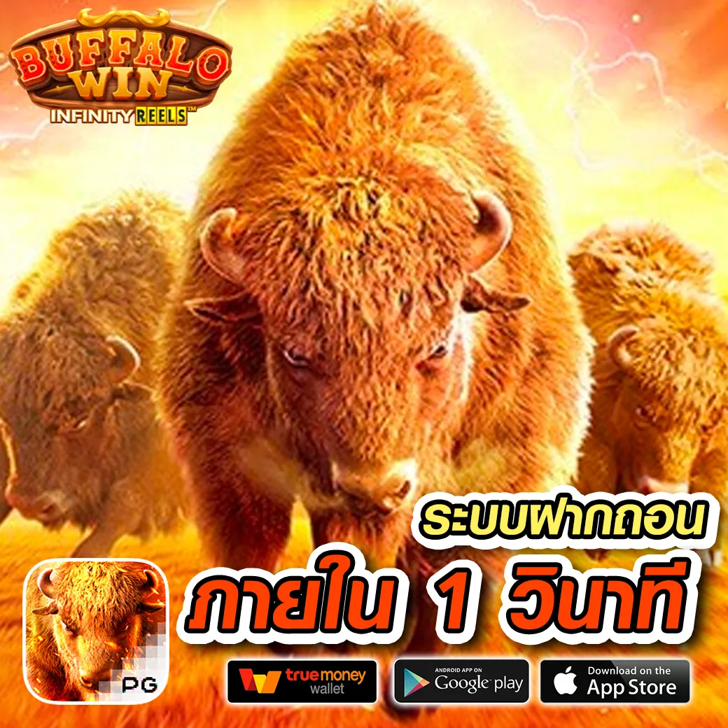 spacekub ทางเข้า